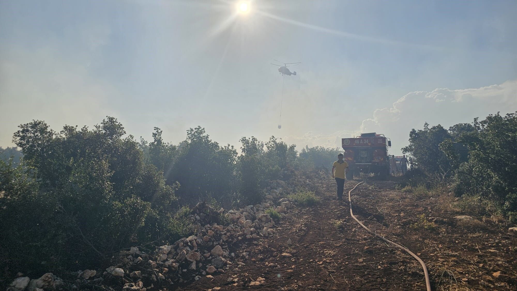 Orman Yangını (2)