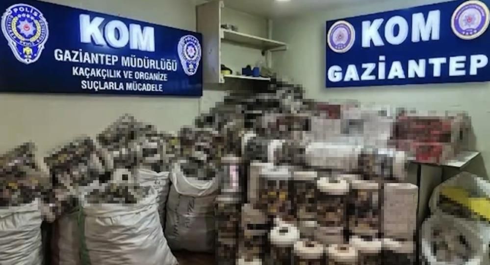 Depodan binlerce paket kaçak sigara çıktı