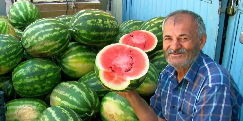 Gaziantep’te Güz Karpuzu Mesaisi Sürüyor