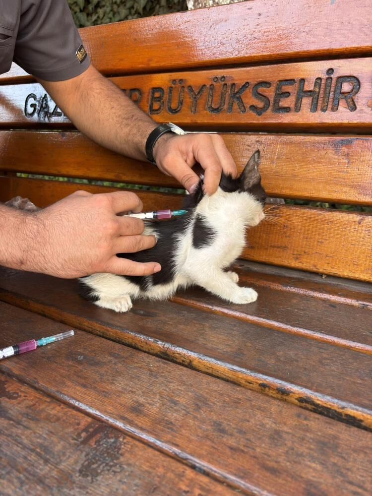 GKV’den Hayvanları Koruma Günü’nde Örnek Davranış