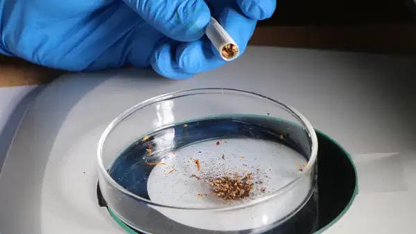 Türkiye, Sigara Tütünündeki Mikroplastikte İkinci Sırada